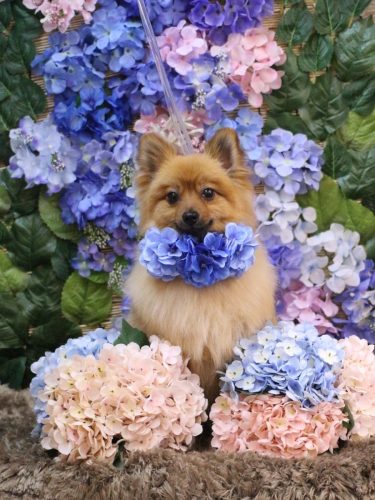 20250604ららちゃん